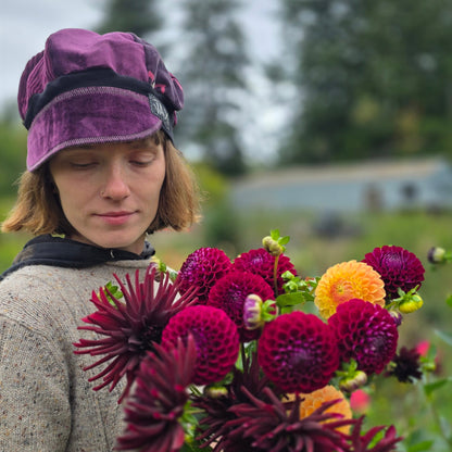 Juicy Purple Velvet Fall Newsboy